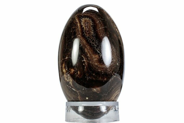 Swirling Polished Chocolate Calcite Egg - Pakistan #365817